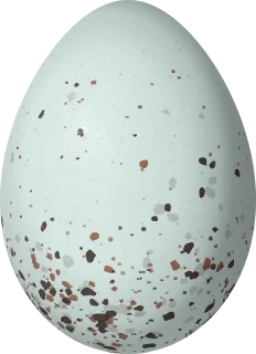 Illustration of an Indigo Flowerpiercer (Diglossa indigotica) egg, 17.5 × 12.7 mm