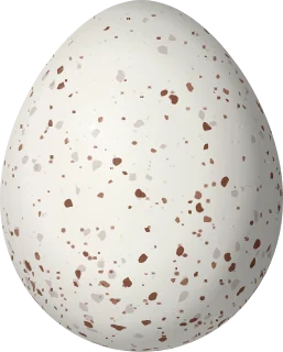 Illustration of an Iquitos Gnatcatcher (Polioptila clementsi) egg, 14.3 × 11.5 mm