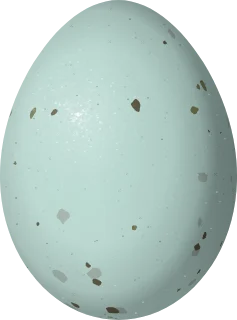 Island Scrub-Jay egg, 29.2 × 21.6 mm