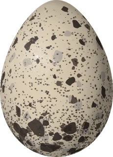 Illustration of an Ivory Gull (Pagophila eburnea) egg, 60.5 × 43.6 mm