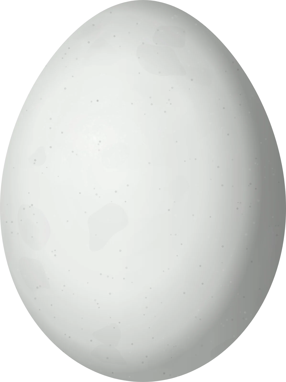 Illustration of a Jamaican Lizard Cuckoo (Coccyzus vetula) egg, 32.5 × 24.3 mm