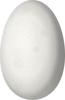 Illustration of a Jamaican Mango (Anthracothorax mango) egg, 15.4 × 10 mm