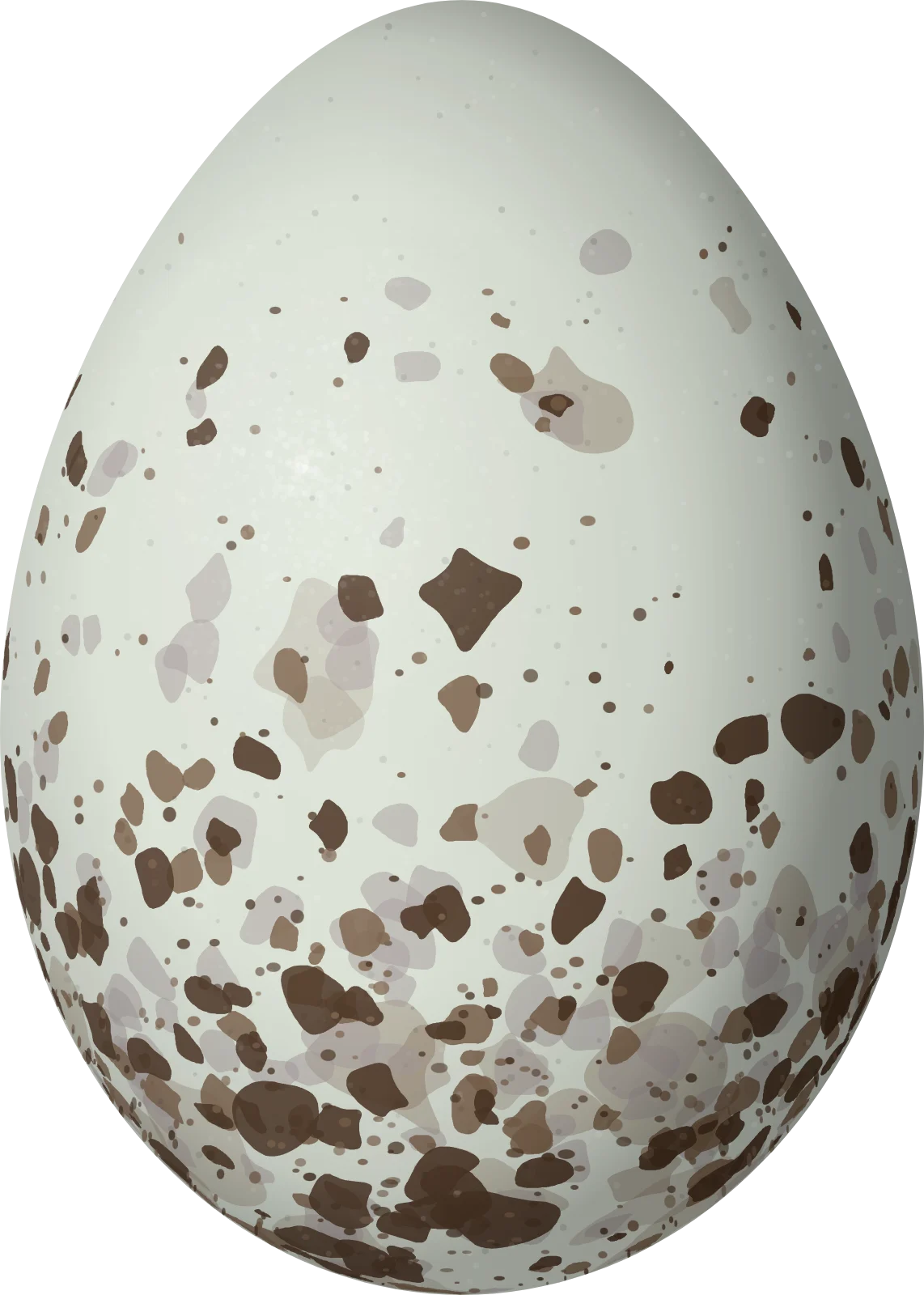 Illustration of a Jamaican Spindalis (Spindalis nigricephala) egg, 21.3 × 15.2 mm