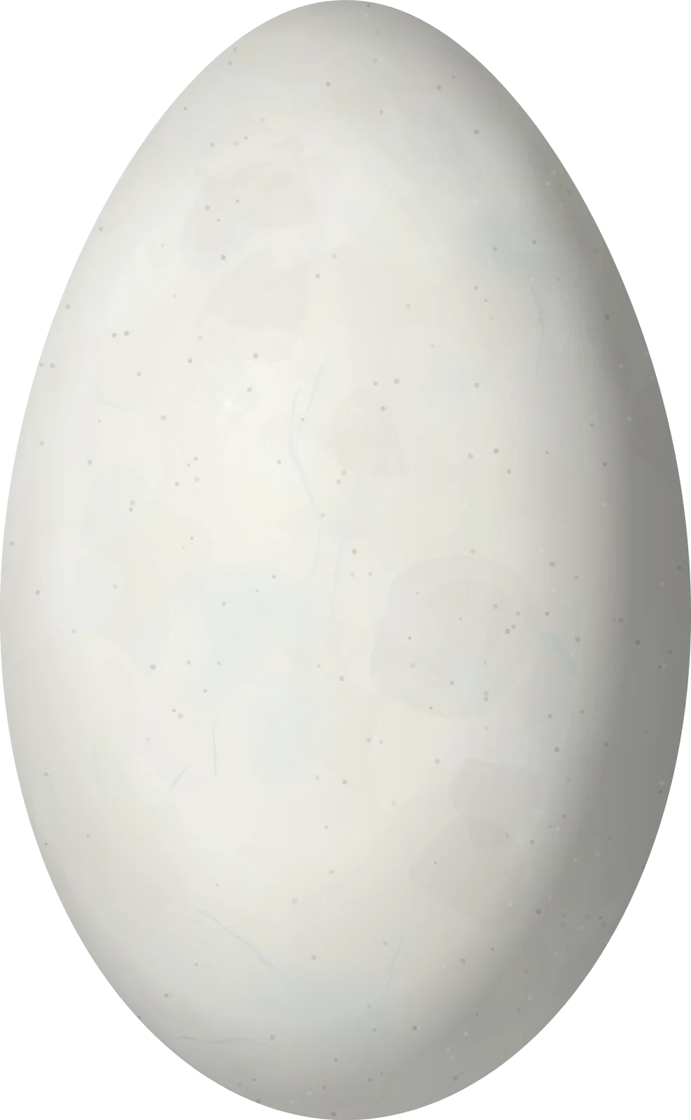 Illustration of a James's Flamingo (Phoenicoparrus jamesi) egg, 82.8 × 51.1 mm
