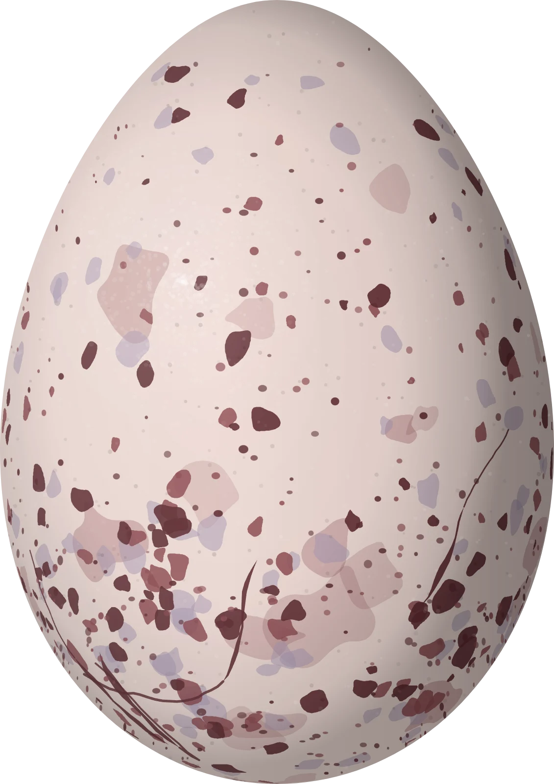 Illustration of a Jet Antbird (Cercomacra nigricans) egg, 21.5 × 15.2 mm