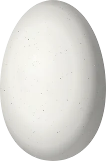 Illustration of a Juan Fernandez Firecrown (Sephanoides fernandensis) egg, 15 × 9.9 mm