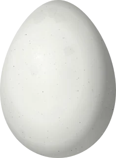 Illustration of a Junin Canastero (Asthenes virgata) egg, 22.5 × 16.5 mm