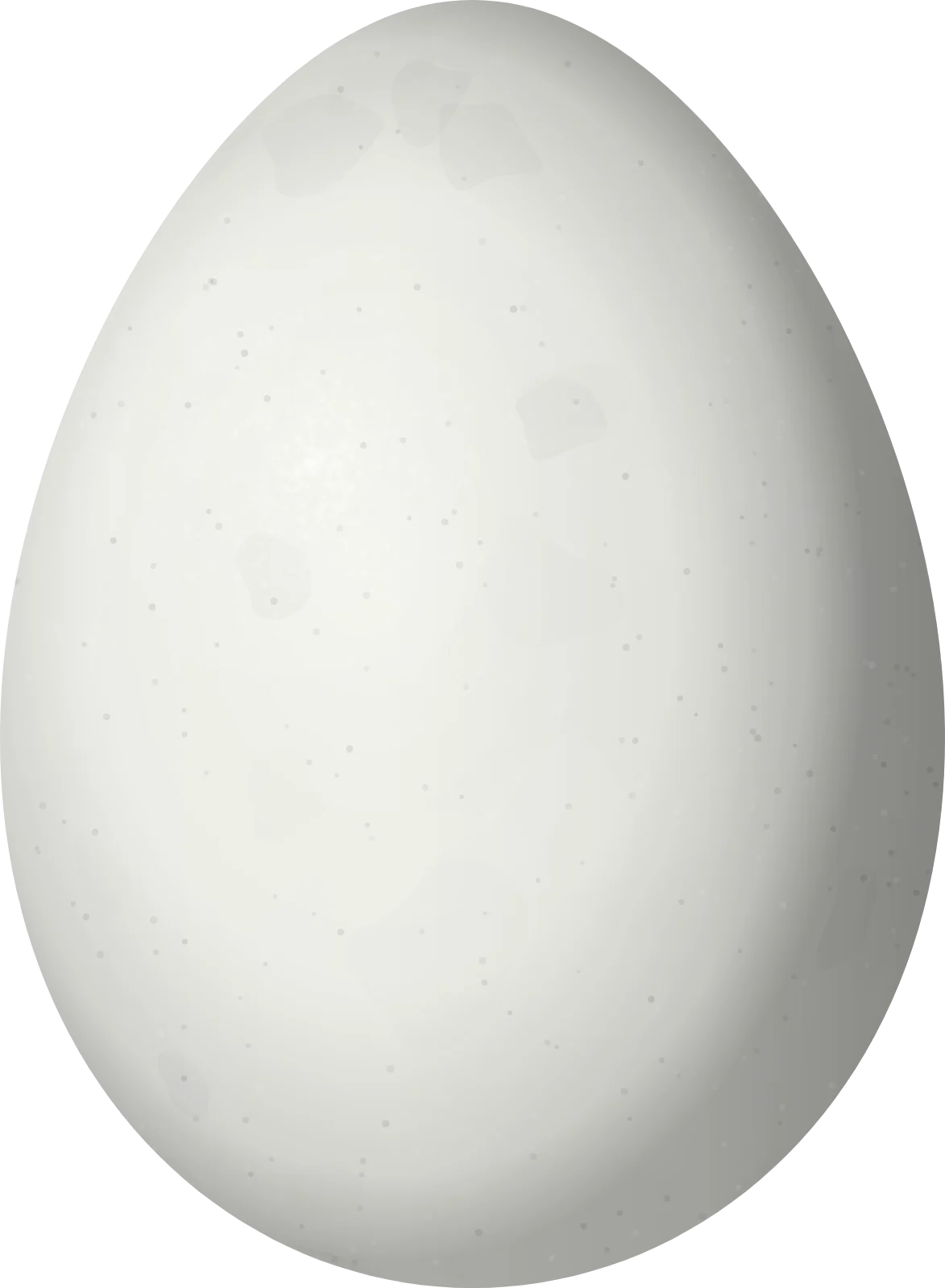 Illustration of a Junin Canastero (Asthenes virgata) egg, 22.5 × 16.5 mm