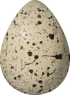 Killdeer egg, 36.3 × 26.6 mm