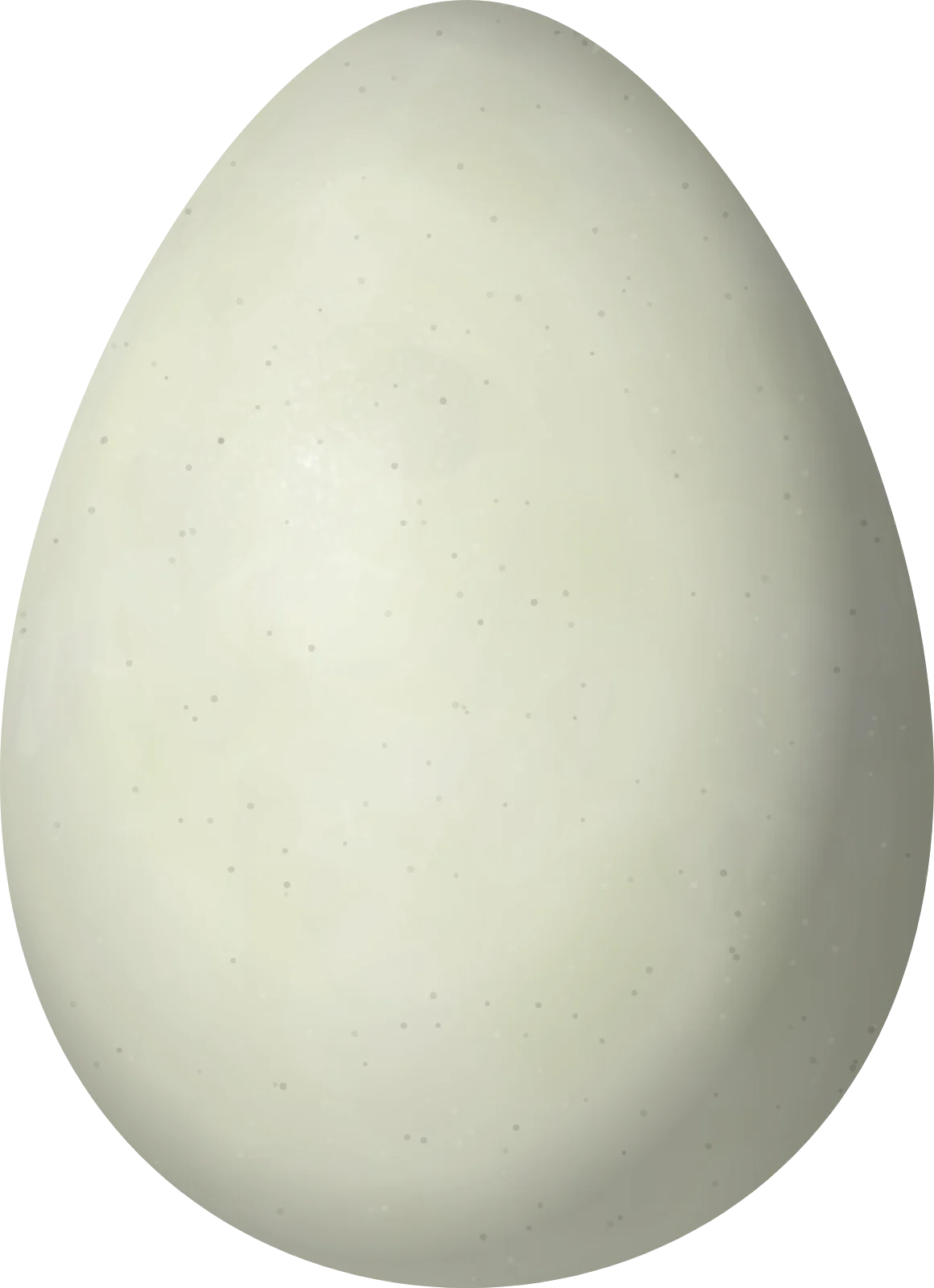 Illustration of a King Penguin (Aptenodytes patagonicus) egg, 104.5 × 75.8 mm