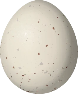 King Rail egg, 36.2 × 30 mm