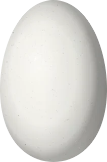 Illustration of a Koepcke's Hermit (Phaethornis koepckeae) egg, 14.2 × 9.4 mm
