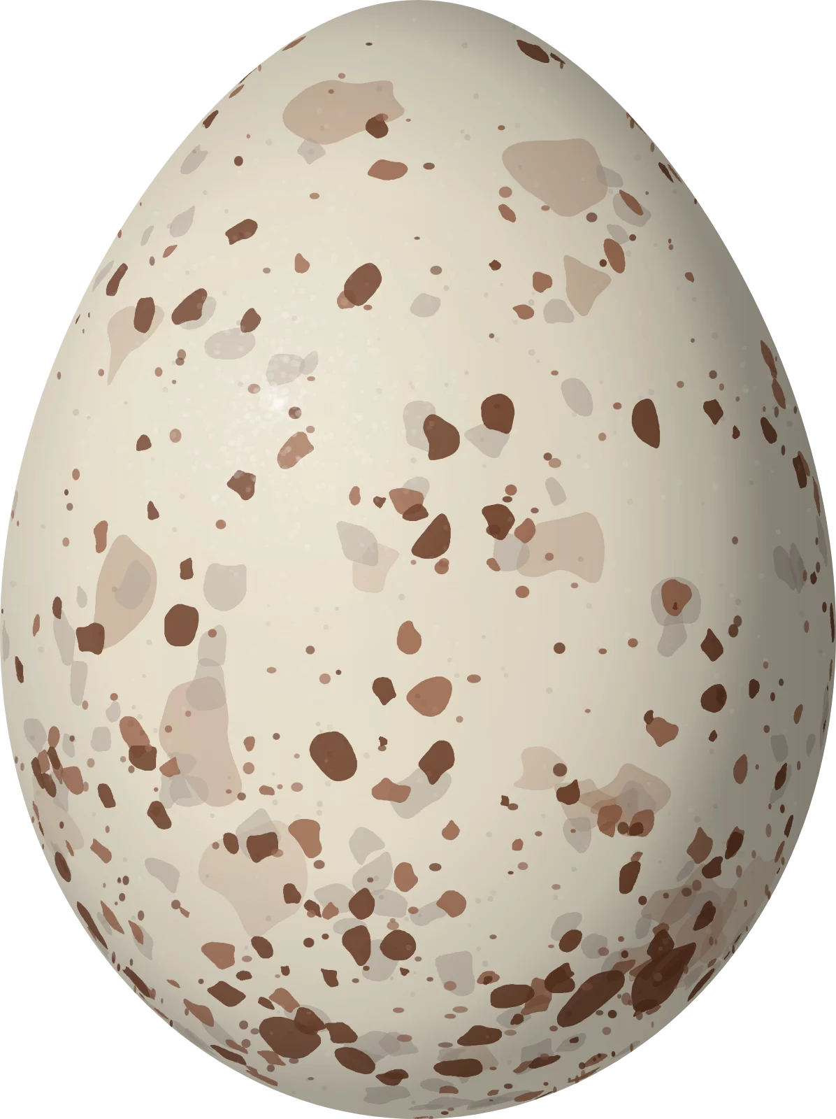 Illustration of a Large Ground Finch (Geospiza magnirostris) egg, 22.23 × 16.62 mm
