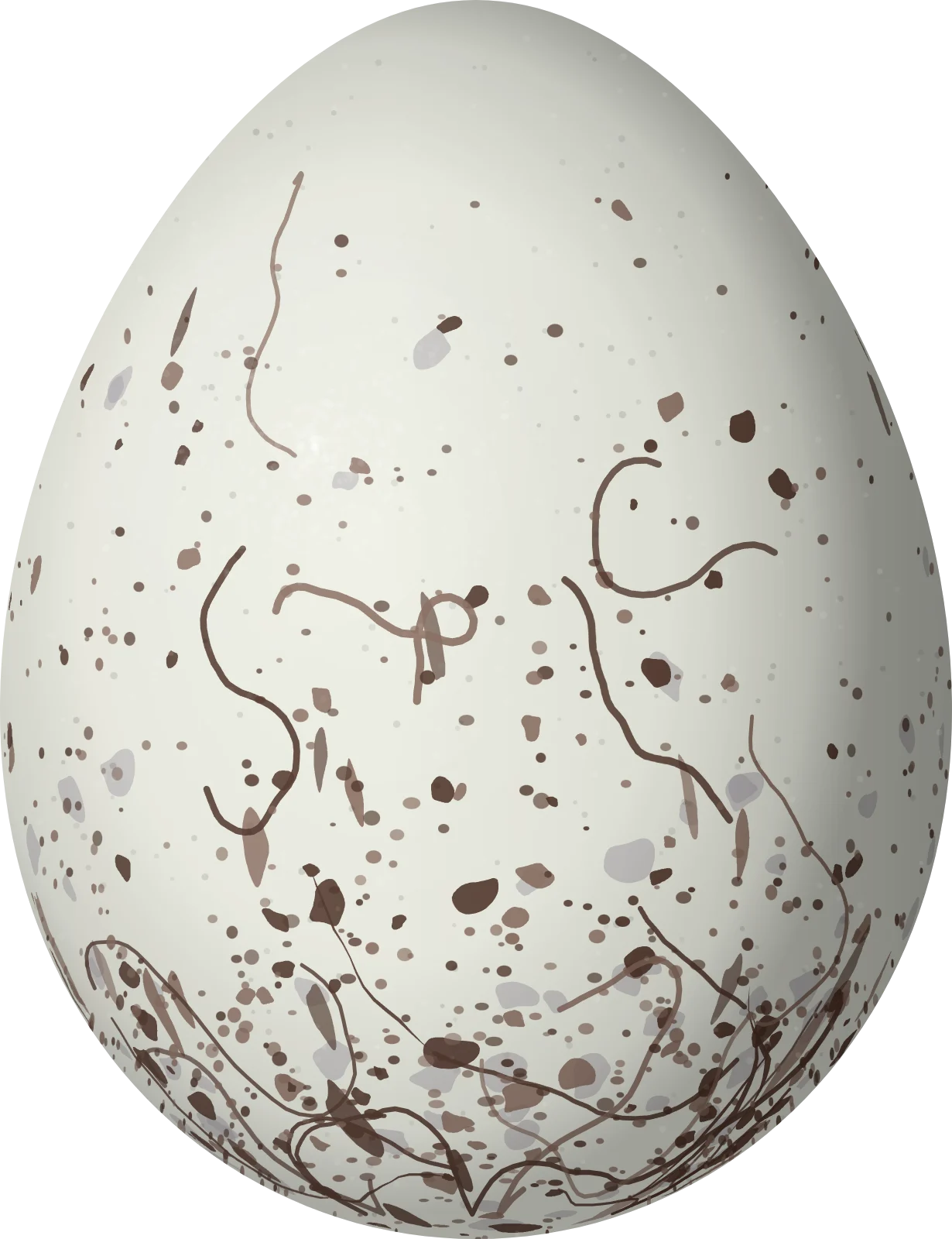 Illustration of a Large-tailed Antshrike (Mackenziaena leachii) egg, 29.8 × 22.9 mm