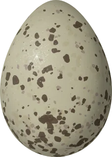 Illustration of a Lava Gull (Leucophaeus fuliginosus) egg, 55.9 × 39.9 mm