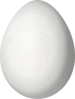 Illustration of a Lawrence's Goldfinch (Spinus lawrencei) egg, 15.4 × 11.6 mm