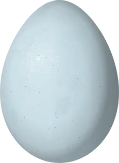 Illustration of a Lazuli Bunting (Passerina amoena) egg, 18.7 × 13.6 mm