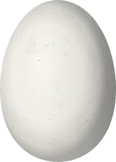 Illustration of a Lazuline Sabrewing (Campylopterus falcatus) egg, 15.5 × 11.1 mm