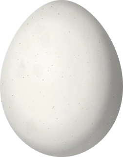 Least Flycatcher egg, 16.14 × 12.7 mm