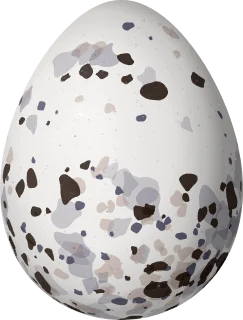Illustration of a Least Tern (Sternula antillarum) egg, 31 × 23.5 mm