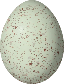 LeConte's Sparrow egg, 18 × 13.7 mm