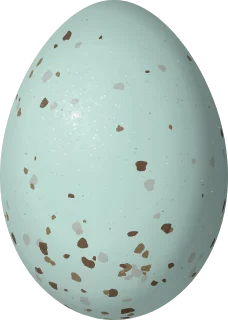 LeConte's Thrasher egg, 27.6 × 19.7 mm