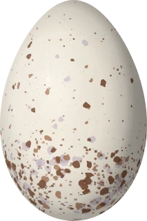 Illustration of a Lemon-spectacled Tanager (Chlorothraupis olivacea) egg, 25.2 × 16.8 mm