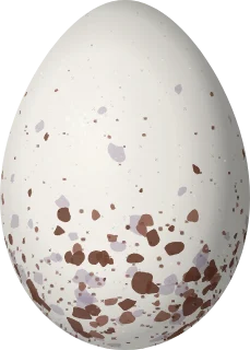 Illustration of a Lesser Antillean Bullfinch (Loxigilla noctis) egg, 20.8 × 14.9 mm