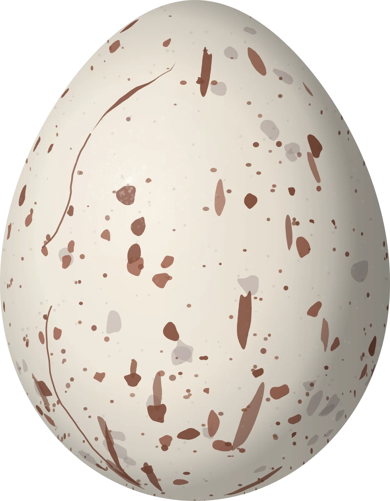 Illustration of a Lesser Antillean Flycatcher (Myiarchus oberi) egg, 23.5 × 18.3 mm