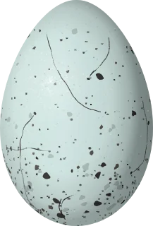 Illustration of a Lesser Antillean Saltator (Saltator albicollis) egg, 26.5 × 18 mm