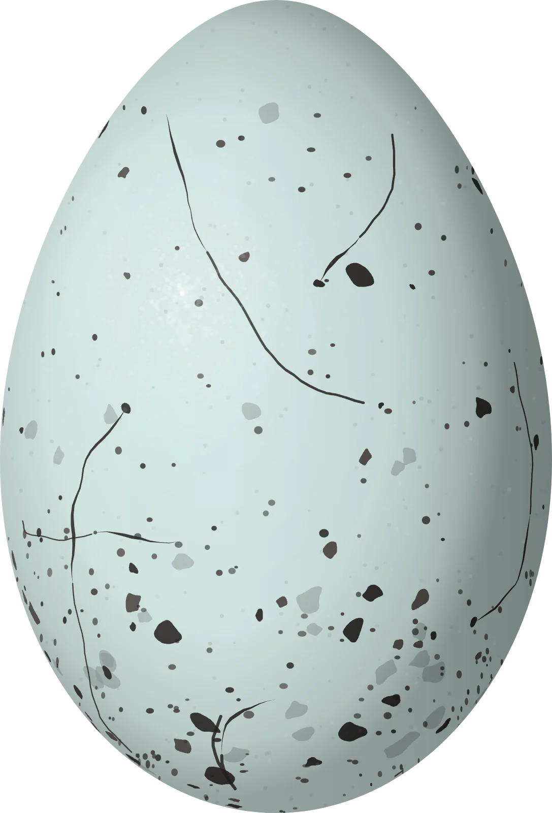 Illustration of a Lesser Antillean Saltator (Saltator albicollis) egg, 26.5 × 18 mm