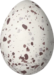 Illustration of a Lesser Antillean Tanager (Stilpnia cucullata) egg, 22.7 × 16.4 mm