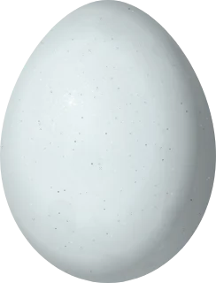Lesser Goldfinch egg, 14.7 × 11.2 mm