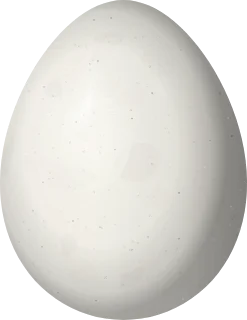 Illustration of a Lesser Hornero (Furnarius minor) egg, 22.4 × 17.3 mm