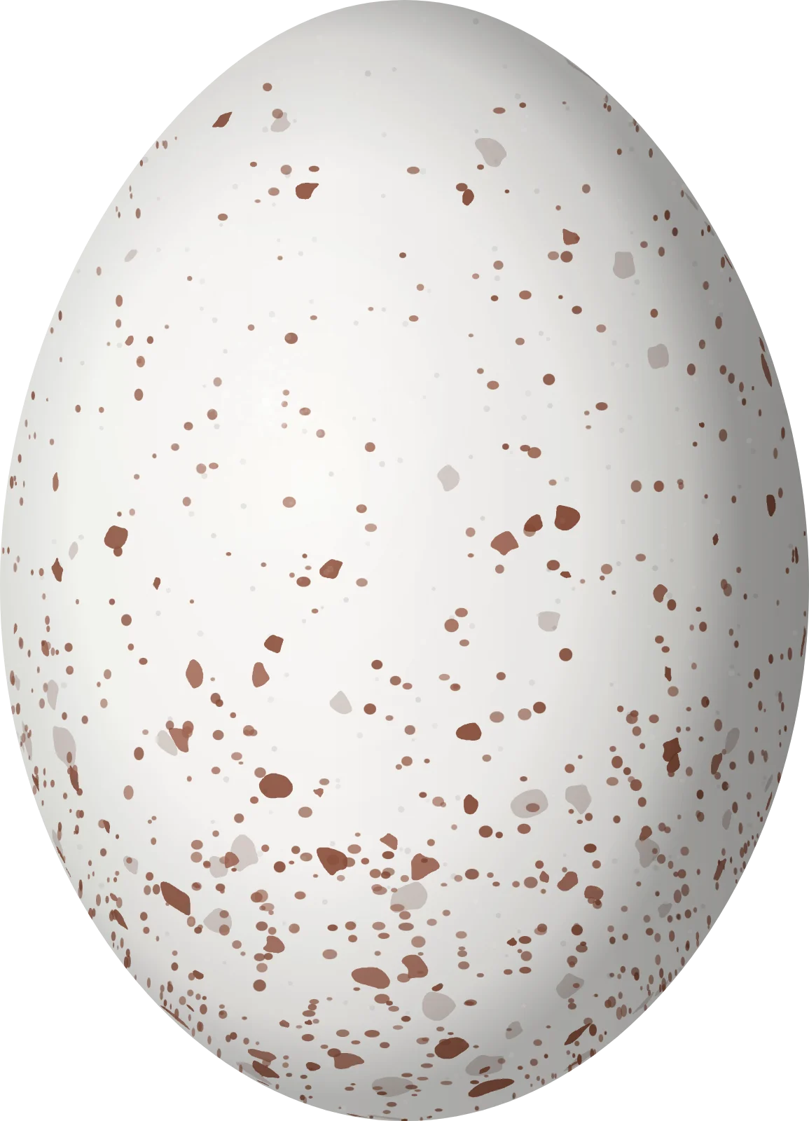 Illustration of a Lesser Nighthawk (Chordeiles acutipennis) egg, 27.05 × 19.53 mm