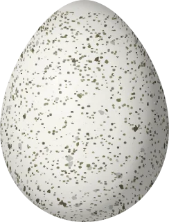 Lesser Prairie-Chicken egg, 41.9 × 32 mm