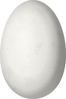 Illustration of a Lesser Violetear (Colibri cyanotus) egg, 13.9 × 9.2 mm