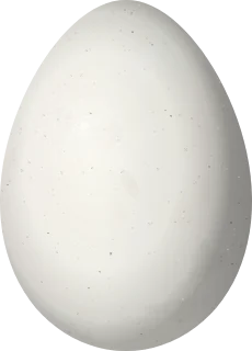 Illustration of a Lesser Woodcreeper (Xiphorhynchus fuscus) egg, 25 × 18 mm