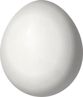Illustration of a Lesson's Motmot (Momotus lessonii) egg, 27 × 23 mm