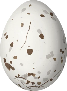 Limpkin egg, 59.4 × 43.8 mm