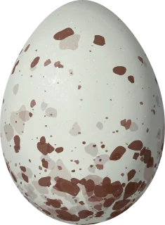 Illustration of a Lined Seedeater (Sporophila lineola) egg, 17.4 × 12.8 mm