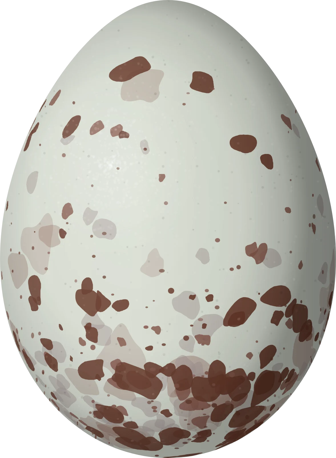 Illustration of a Lined Seedeater (Sporophila lineola) egg, 17.4 × 12.8 mm