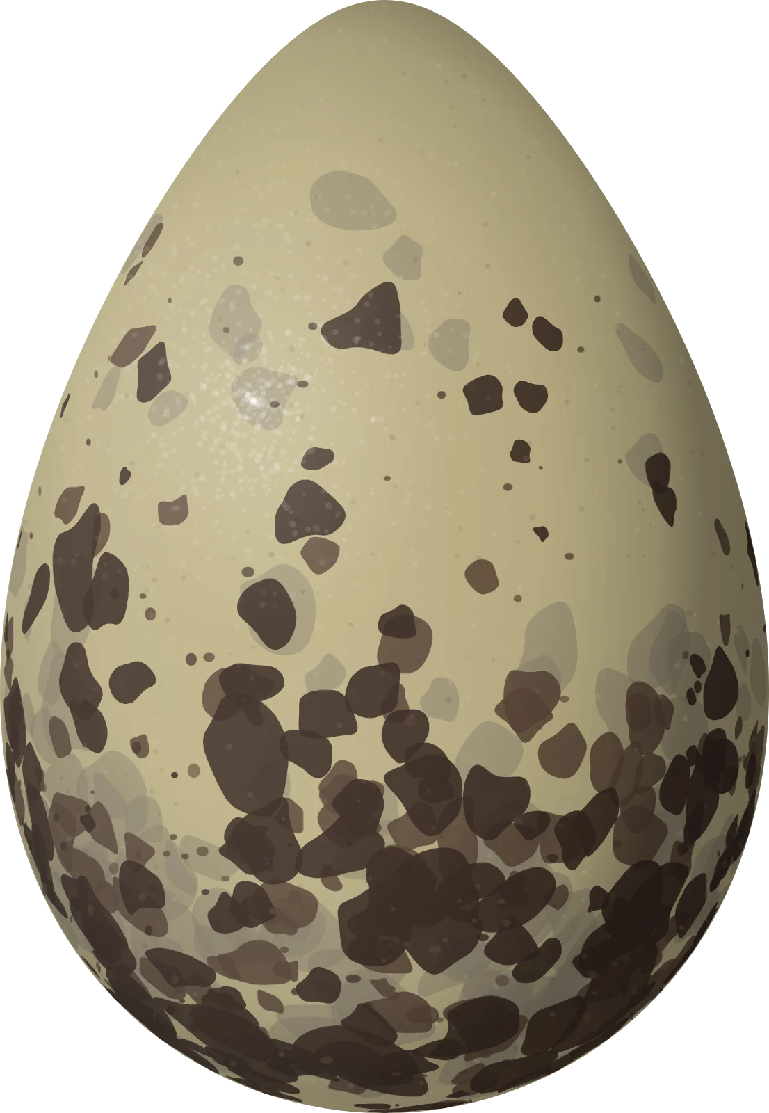 Illustration of a Long-billed Dowitcher (Limnodromus scolopaceus) egg, 41.8 × 28.9 mm