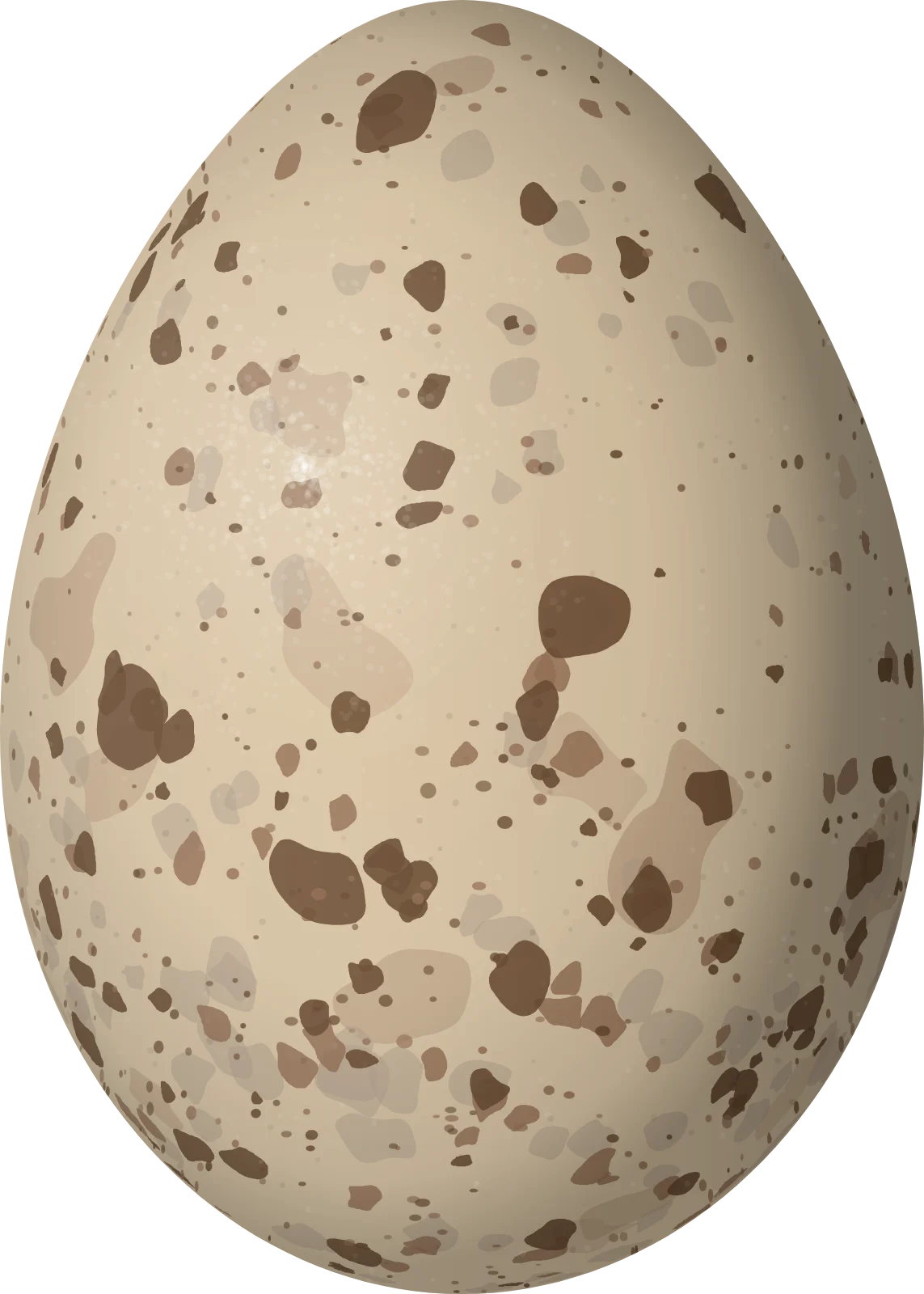 Illustration of a Long-tailed Manakin (Chiroxiphia linearis) egg, 21 × 15 mm