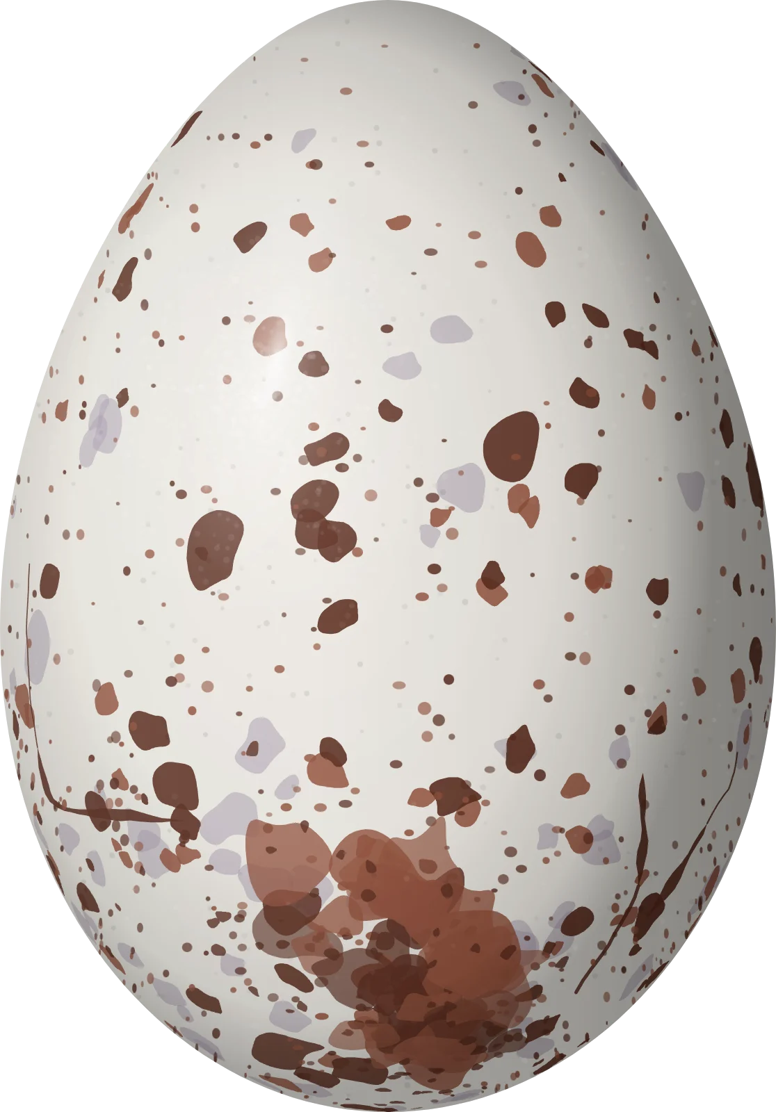 Illustration of a Long-tailed Meadowlark (Leistes loyca) egg, 29.1 × 20.3 mm