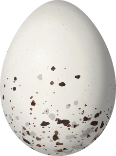 Illustration of a Long-tailed Reed Finch (Donacospiza albifrons) egg, 19.5 × 14.5 mm