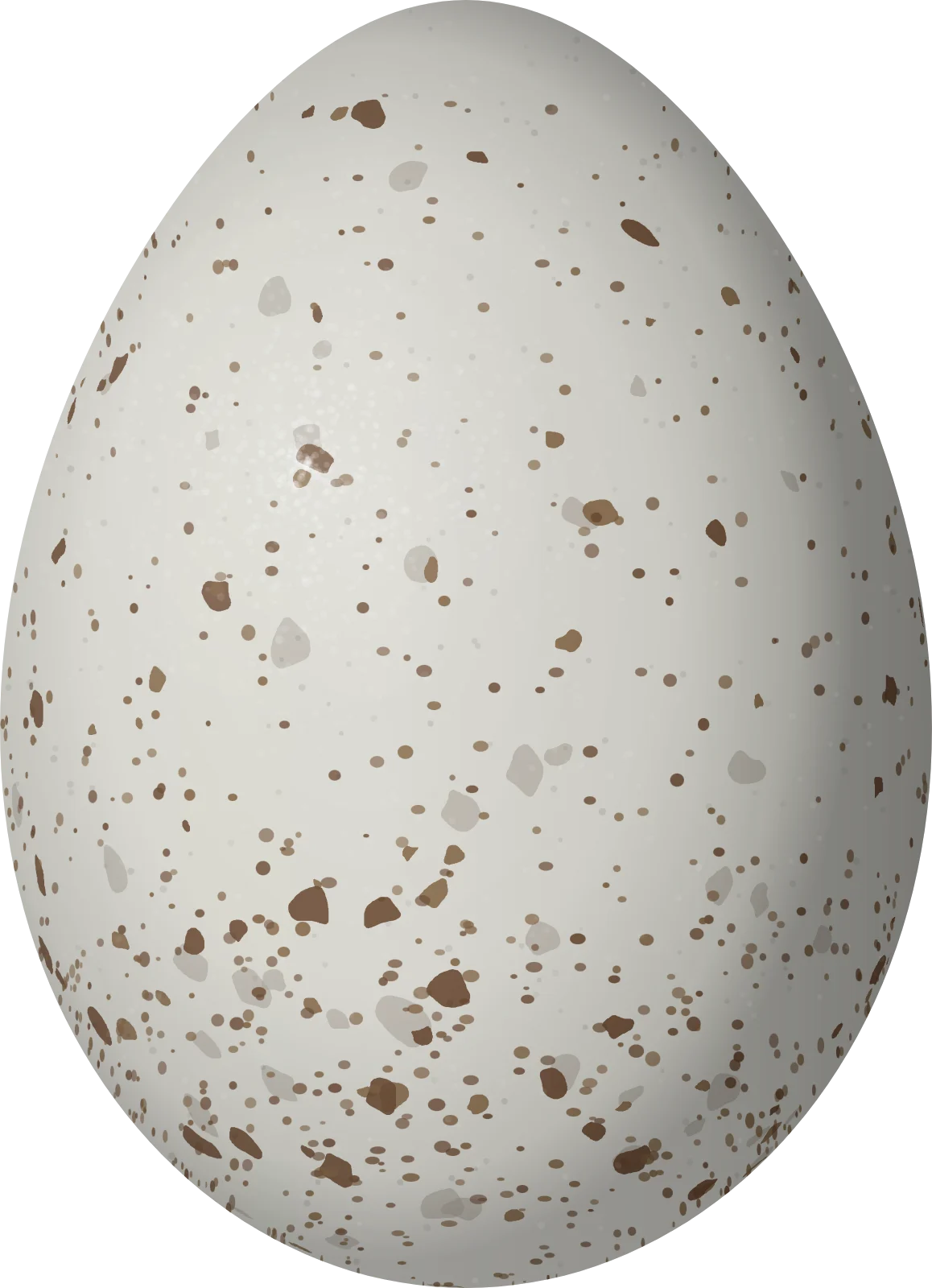 Illustration of a Long-tailed Silky-flycatcher (Ptiliogonys caudatus) egg, 22.1 × 16 mm