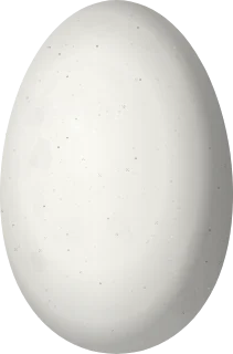 Illustration of a Long-tailed Sylph (Aglaiocercus kingii) egg, 13.5 × 8.9 mm
