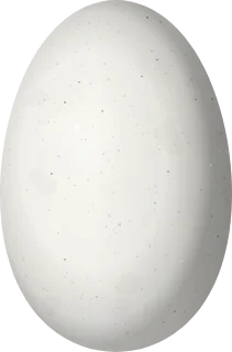 Illustration of a Long-tailed Woodnymph (Thalurania watertonii) egg, 12.6 × 8.3 mm