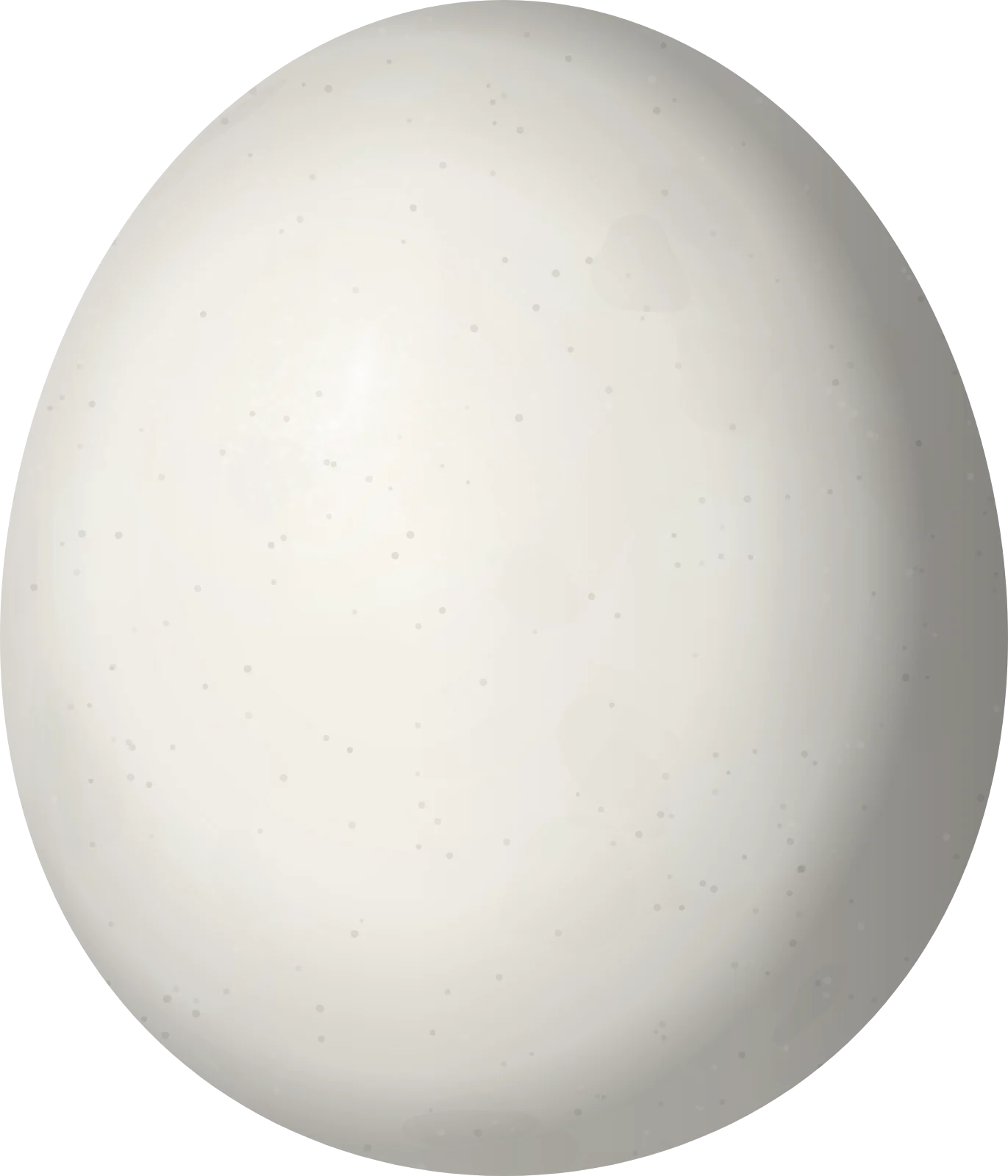 Illustration of a Long-tufted Screech Owl (Megascops sanctaecatarinae) egg, 34.9 × 29.9 mm